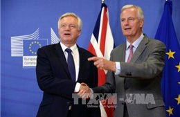 Tự do đi lại giữa Anh và EU sẽ chấm dứt vào tháng 3/2019 